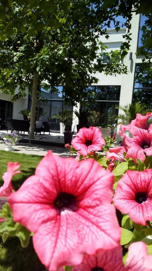 Mesecev Konak Bed & Breakfast Nis Exterior photo