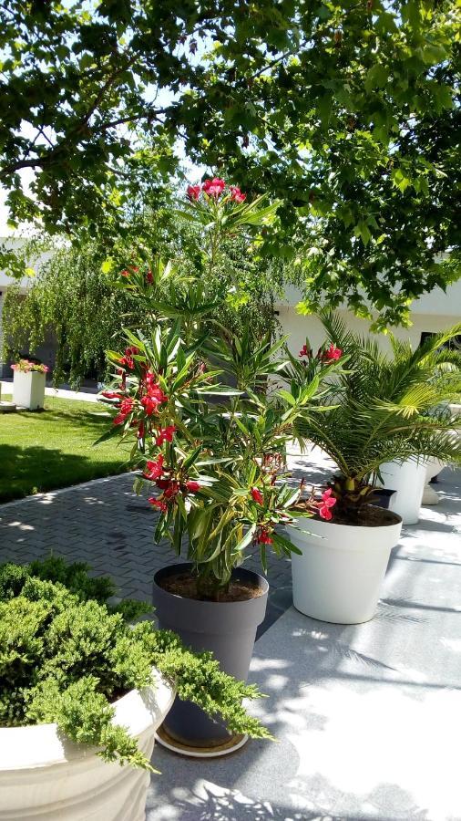 Mesecev Konak Bed & Breakfast Nis Exterior photo